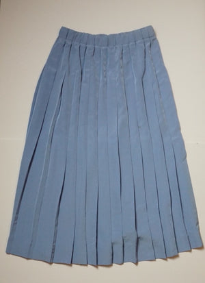 PLEATED PERIWINKLE SKIRT